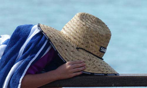 呼叫TA急速系统